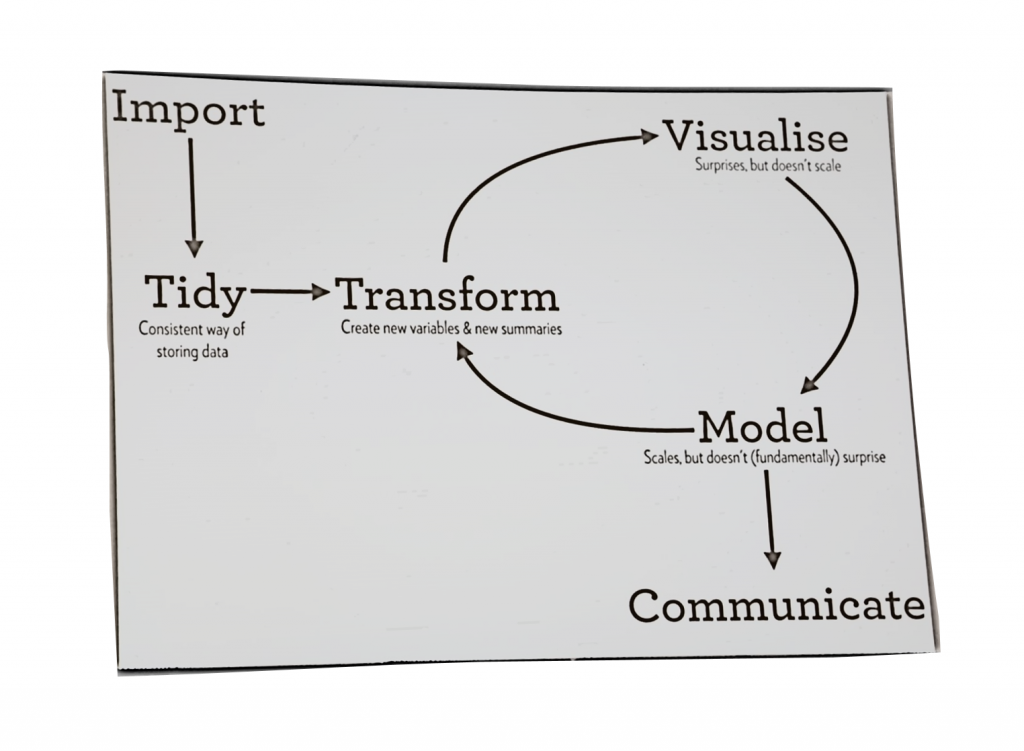 Darstellung eines typischen Data Science Workflows von Hadley Wickham