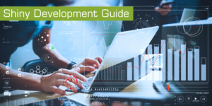 Shiny Development Guide